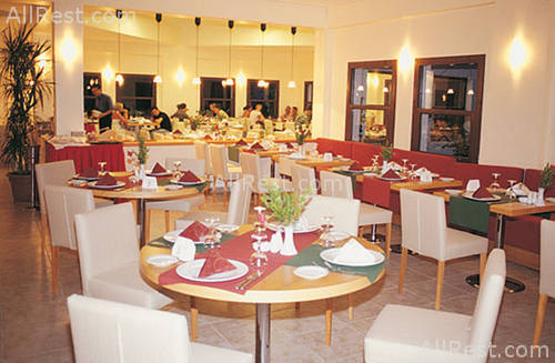 Club Turtles Marco Polo 19
